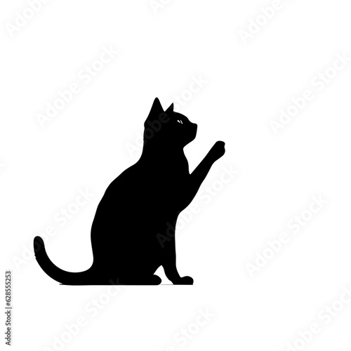 Reaching Cat