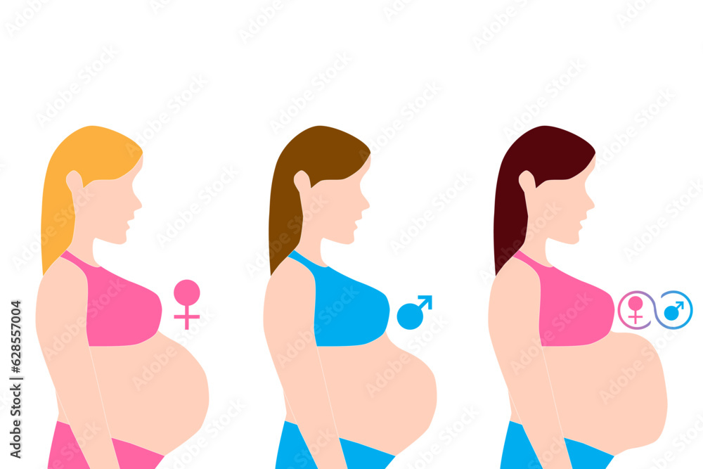 pregnant belly shape and sizes talk about sex of baby. pregnant belly shape and sizes talk about sex of baby.