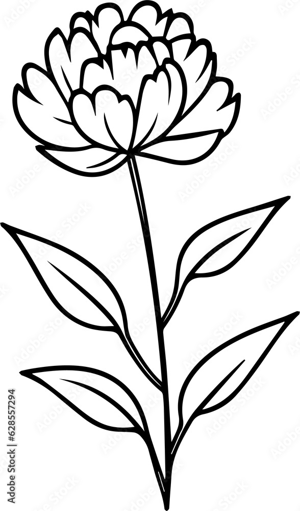 Obraz premium flower minimal style 