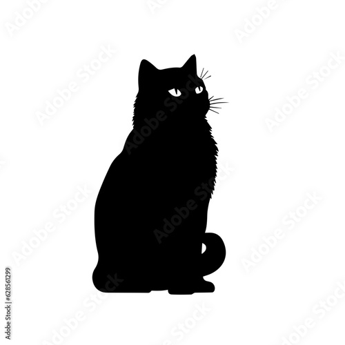 Cat Looking Up