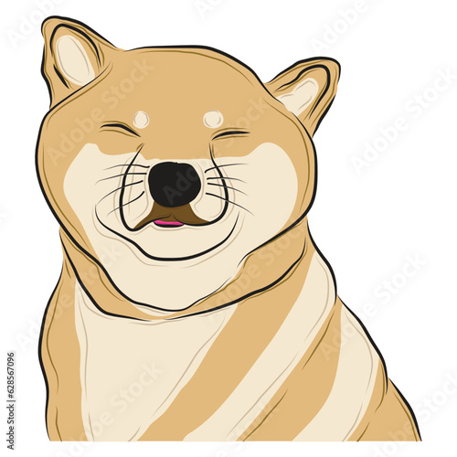 shiba inu dog