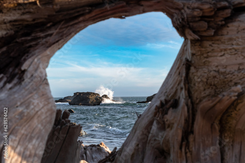 A wave splashing on a rock at sea framed by driftwood.