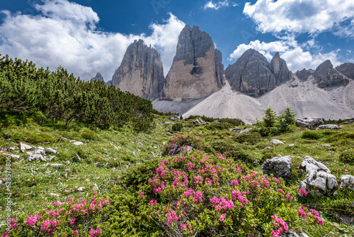 Wallpaper Mural Escursione alle 3 Cime di Lavaredo Torontodigital.ca