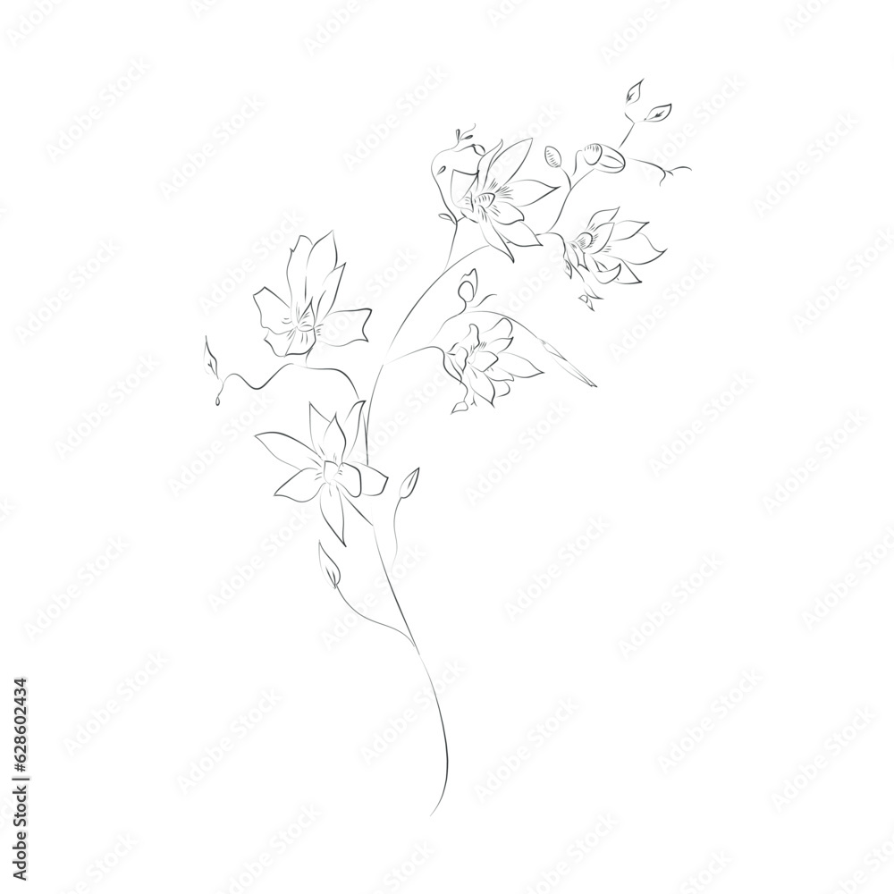 Line Drawing Botanical Wreath. Herbs and florals 01