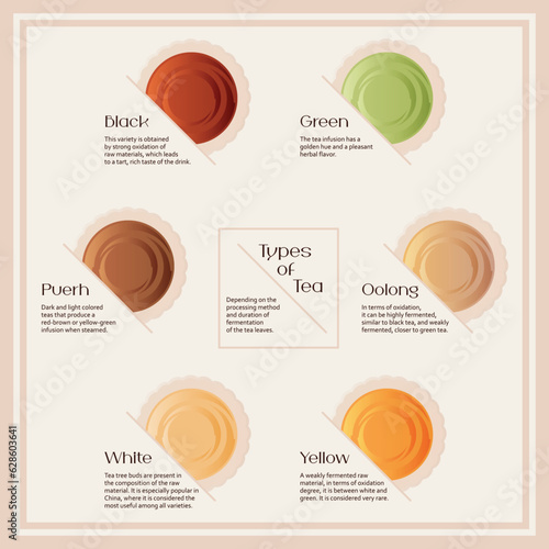 Flat style illustration about types of tea. Method of tea leaf processing. The colors of tea. Tea concept.