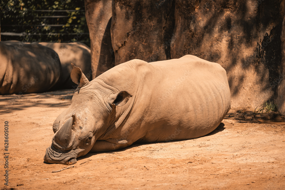 Columbia' Zoo Columbia' Zoo