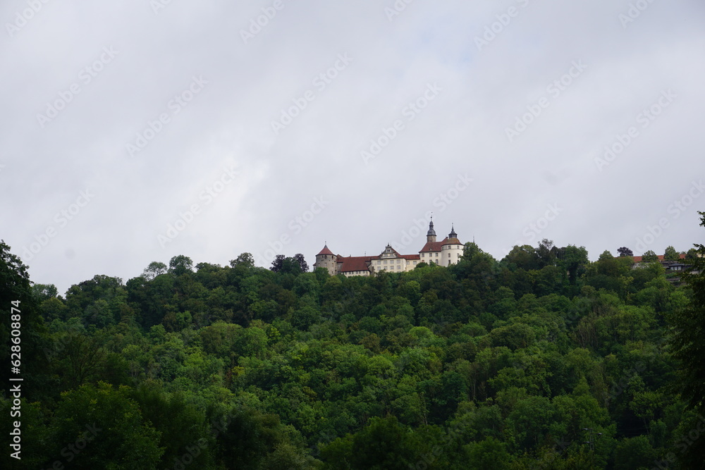 Idyllisch liegendes Schloss hinter einem grünen Wald höherliegend auf einem Berg