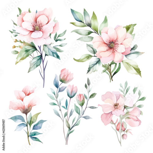 Fototapeta Naklejka Na Ścianę i Meble -  Romantic Watercolor Fairy Florals: Soft Hues on Transparent Background for Dreamy Creations	
