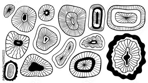 Foto Abstract sea anemone line art
