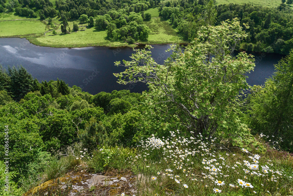 nature sceneries along the queens view path, Loch Tummel, Scotland