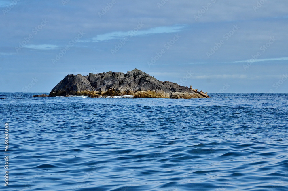 Steller sea lions at their rookery in Gwaii Haanas National Park Reserve, Haida Gwaii, British Columbia, Canada Steller sea lions at their rookery in Gwaii Haanas National Park Reserve, Haida Gwaii, British Columbia, Canada