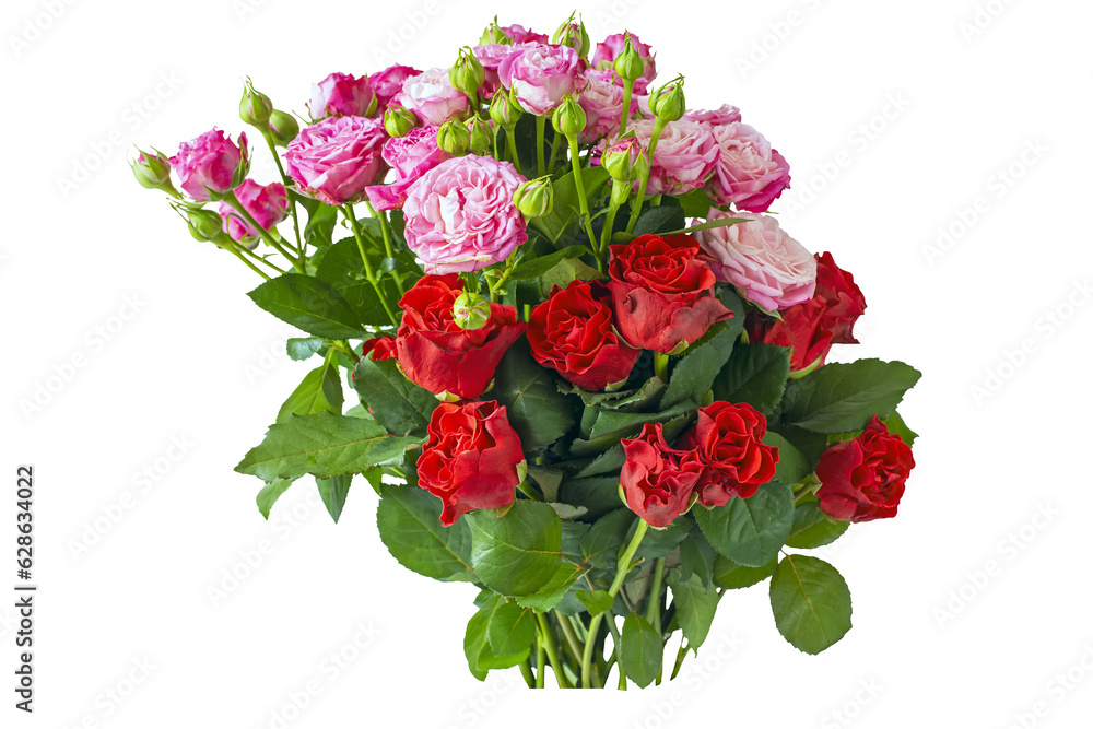 Bouquet of red and pink roses.Isolate on white. available PNG