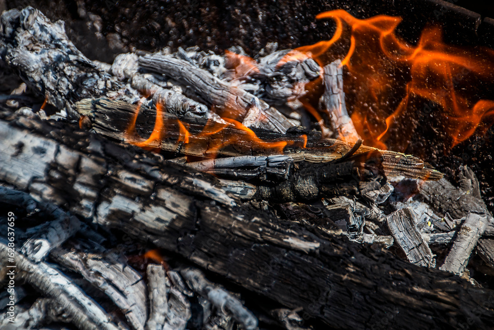 Fire in a bonfire with coals close-up Fire in a bonfire with coals close-up