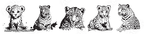 Cheetah head black and white vector. Silhouette head of cheetah illustration.