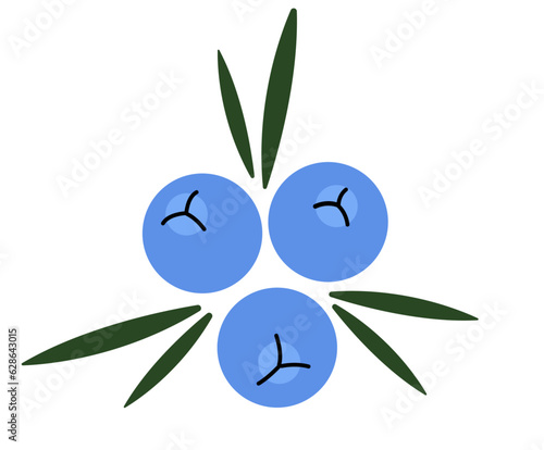 Juniper berries with leaves isolated on white background. Gin Ingredient logo. Blue berry vector illustration. 
