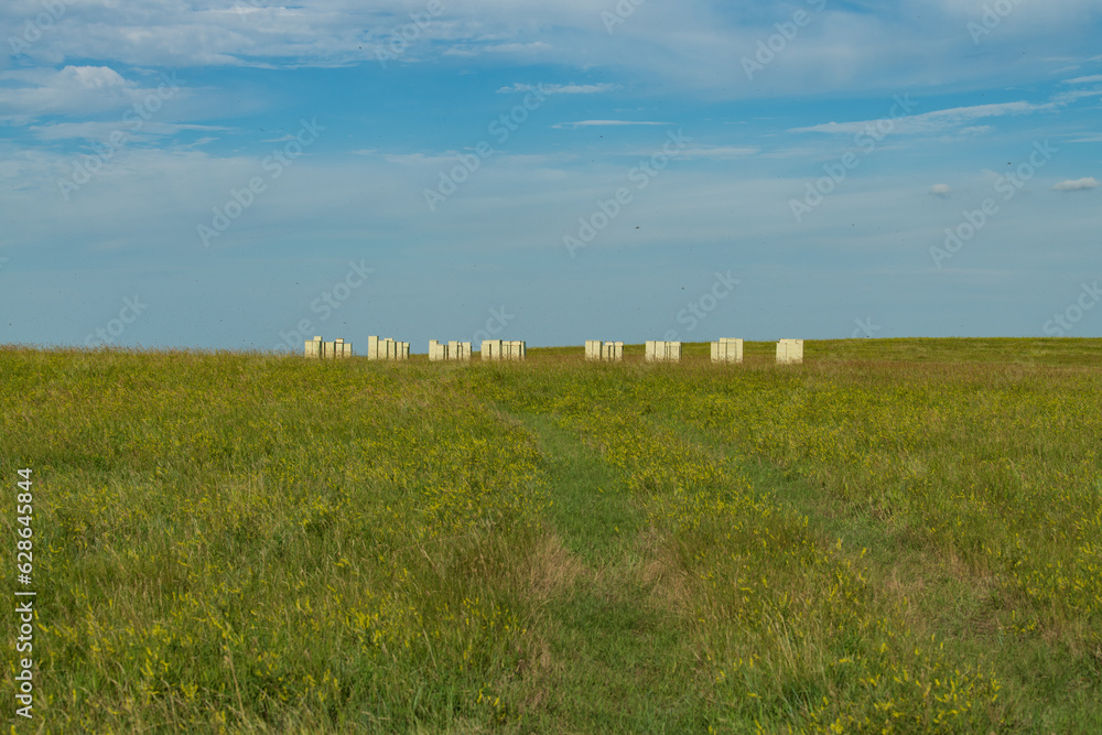 Beehive boxes in a field in South Dakota with bees flying around Beehive boxes in a field in South Dakota with bees flying around