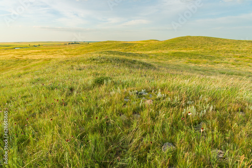 Open prairie in South Dakota in summer