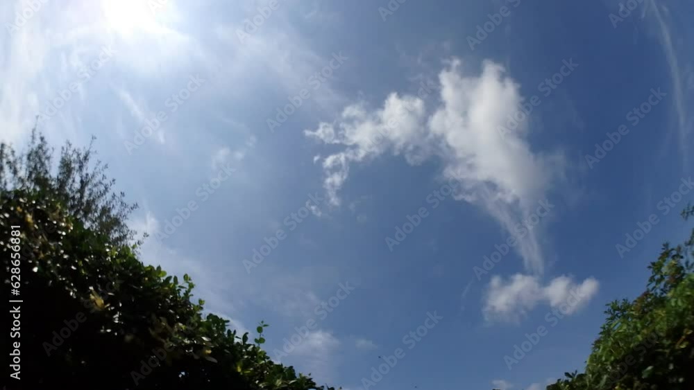 Panorama 160 with blue sky, moving white clouds, sun and green twigs of plants and trees - time lapse. Moving little white clouds at an accelerated pace on summer sunny weather. Panorama 160 with blue sky, moving white clouds, sun and green twigs of plants and trees - time lapse. Moving little white clouds at an accelerated pace on summer sunny weather.