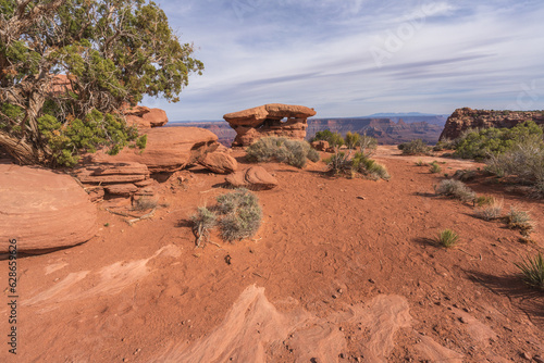 hiking the dead horse trail in dead horse point state park in utah, usa