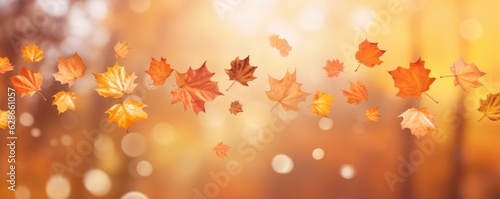 Fallen leaves in autumn month isolated on light orange background.