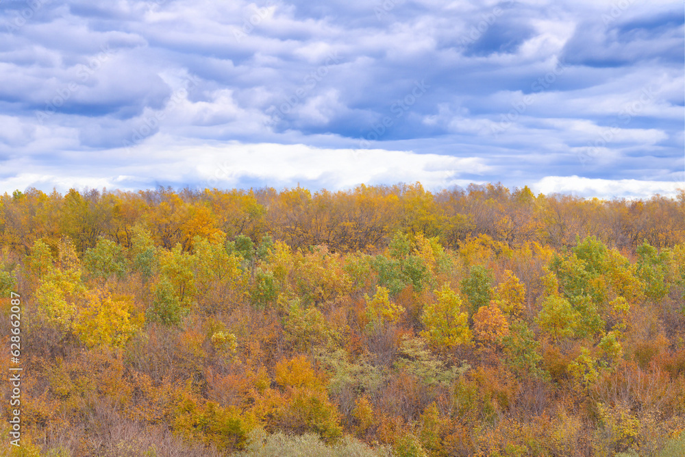 View of dense forest autumn landscape with colorful forest