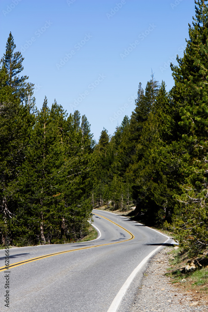 Empty Two Lane Road Curving Between Green Trees Clear Sky Empty Two Lane Road Curving Between Green Trees Clear Sky