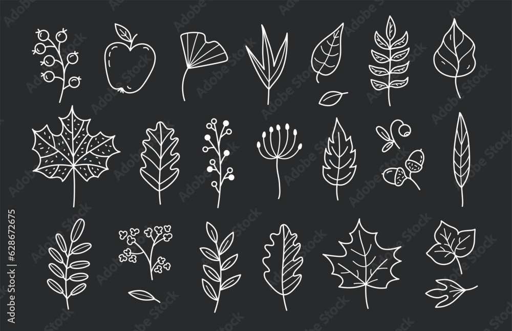 Set of autumn doodles in black background. Hand drawn autumn elements: leaves, berries, acorns, apple, flowers. Hand drawn, sketch. Vector illustration. Set of autumn doodles in black background. Hand drawn autumn elements: leaves, berries, acorns, apple, flowers. Hand drawn, sketch. Vector illustration.
