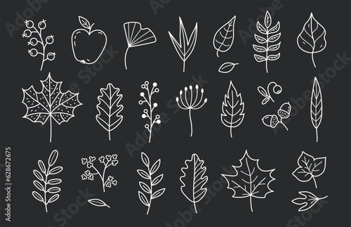 Set of autumn doodles in black background. Hand drawn autumn elements: leaves, berries, acorns, apple, flowers. Hand drawn, sketch. Vector illustration.