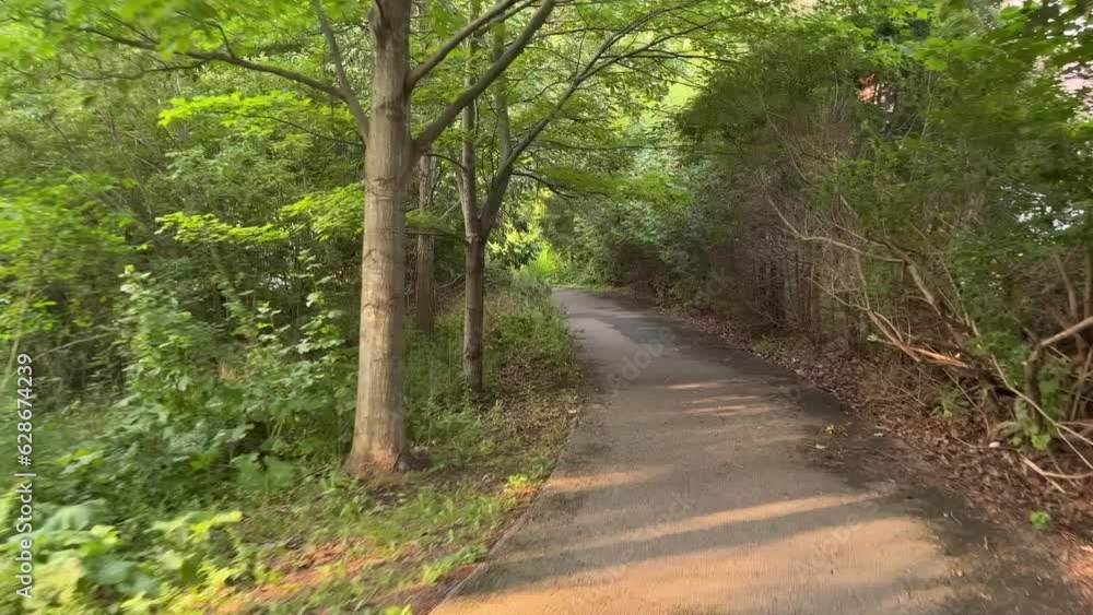 Riding Down a Green Path | 4K 24 FPS Riding Down a Green Path | 4K 24 FPS