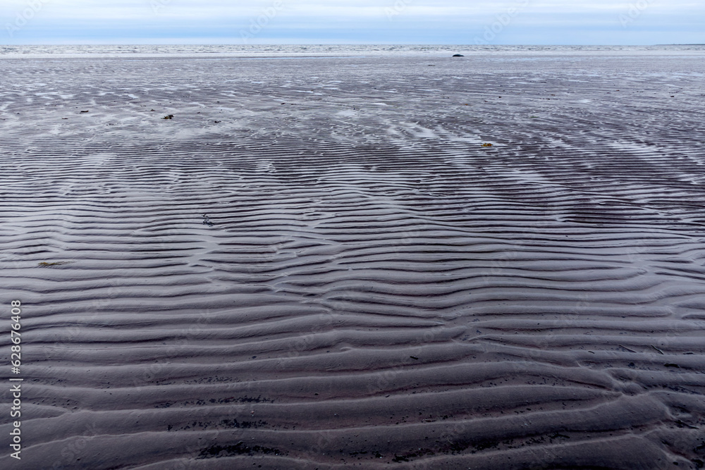Fototapeta premium Northern seascape. Tersky coast of the White Sea. Murmansk region, Russia. The White Sea coast in Karelia in summer. Low tide. Littoral.