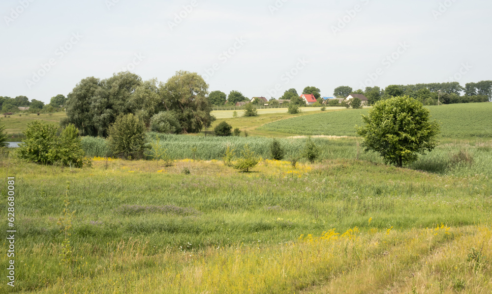 A rural summer landscape with lush grass and trees of different types. The terrain is hilly 