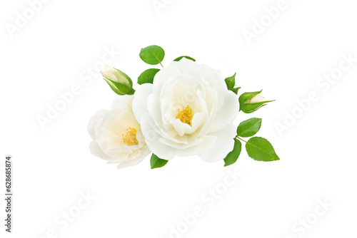 White rose flowers, buds and leaves bunch isolated transparent png