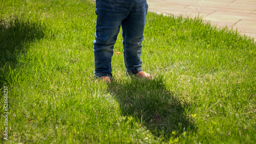 Little barefoot baby boy in jeans standing on green grass lawn. Kids outdoors, children in nature, baby playing outside.