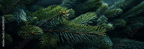 Christmas fir tree branches Background. Christmas pine tree wallpaper