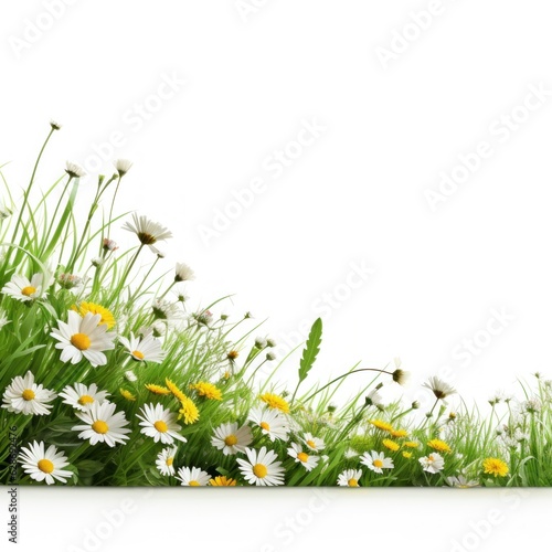 Spring grass and flowers background