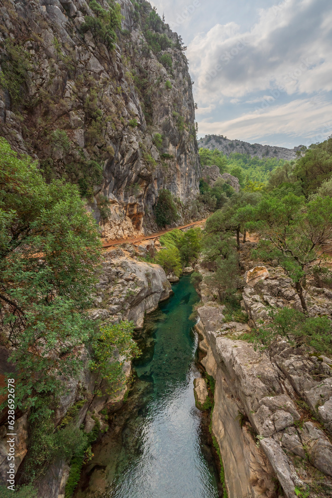 images of canyon and running water surrounded by greenery