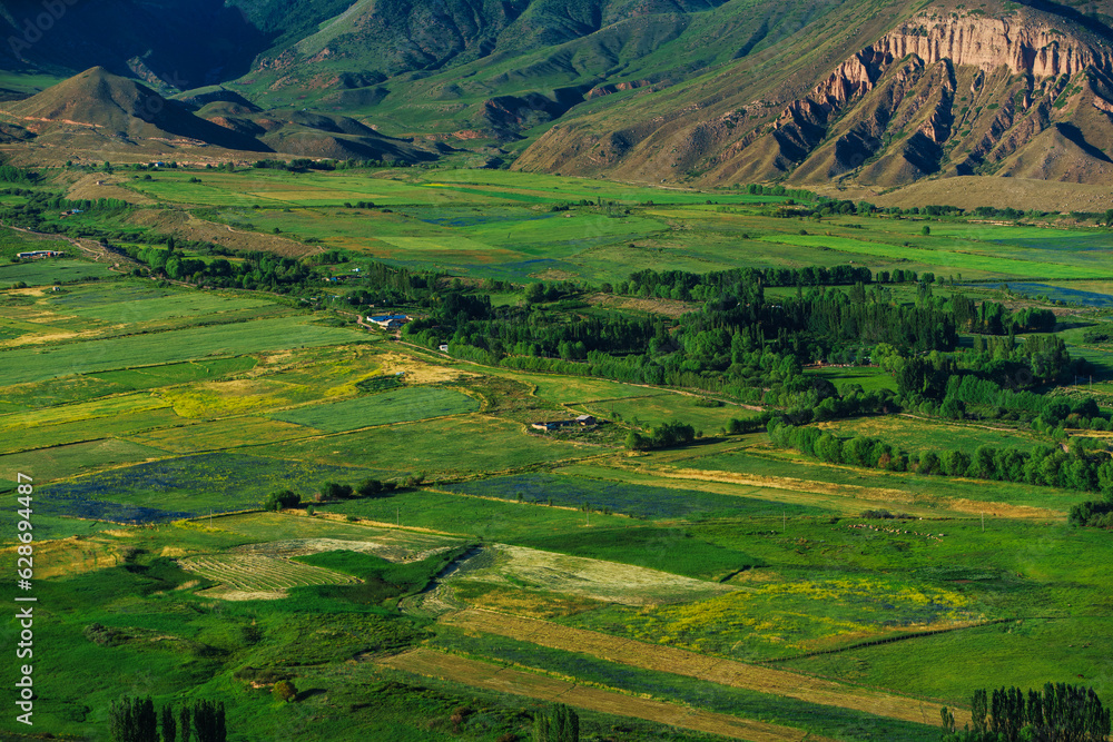 Picturesque green valley with agricultural fields at summer