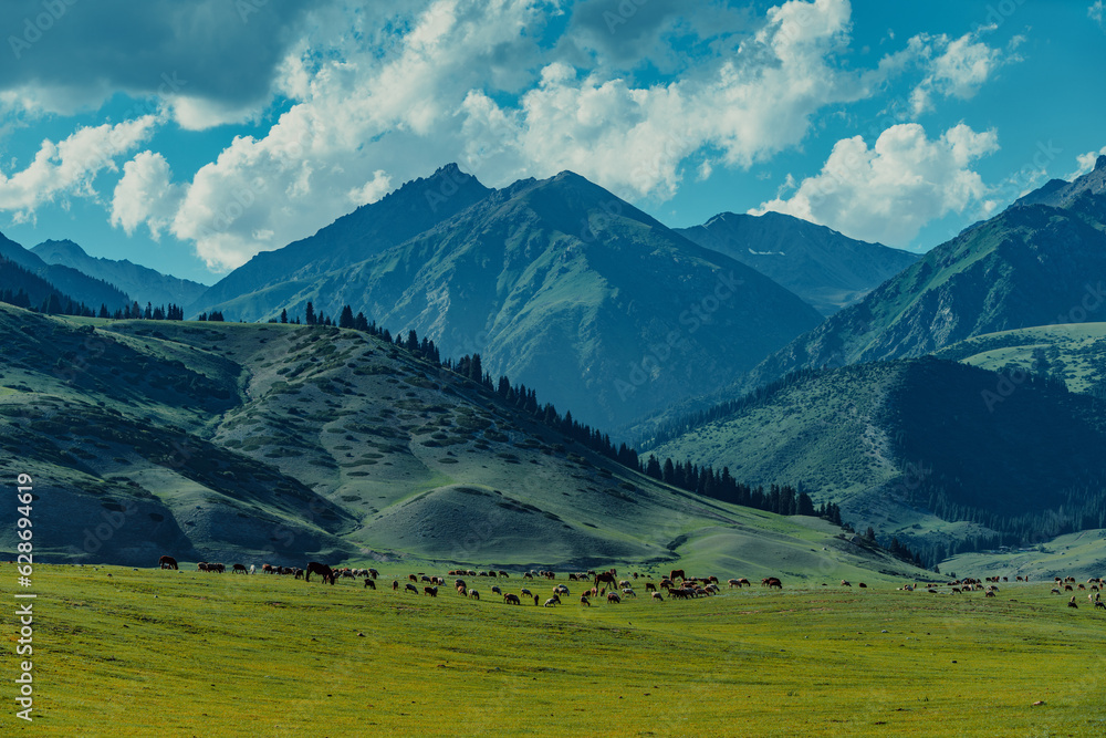 Picturesque mountain landscape with herd grazing on a green meadow