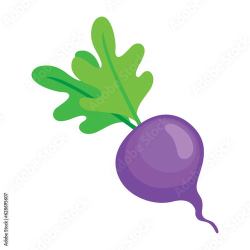 radish vegetable icon isolated