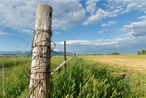 Selective focus of old rustic barbed wire fence post by unharvested rural agricultural field of wheat or corn with mountains in the background and blue sky with clouds in Montana farm near Livingston