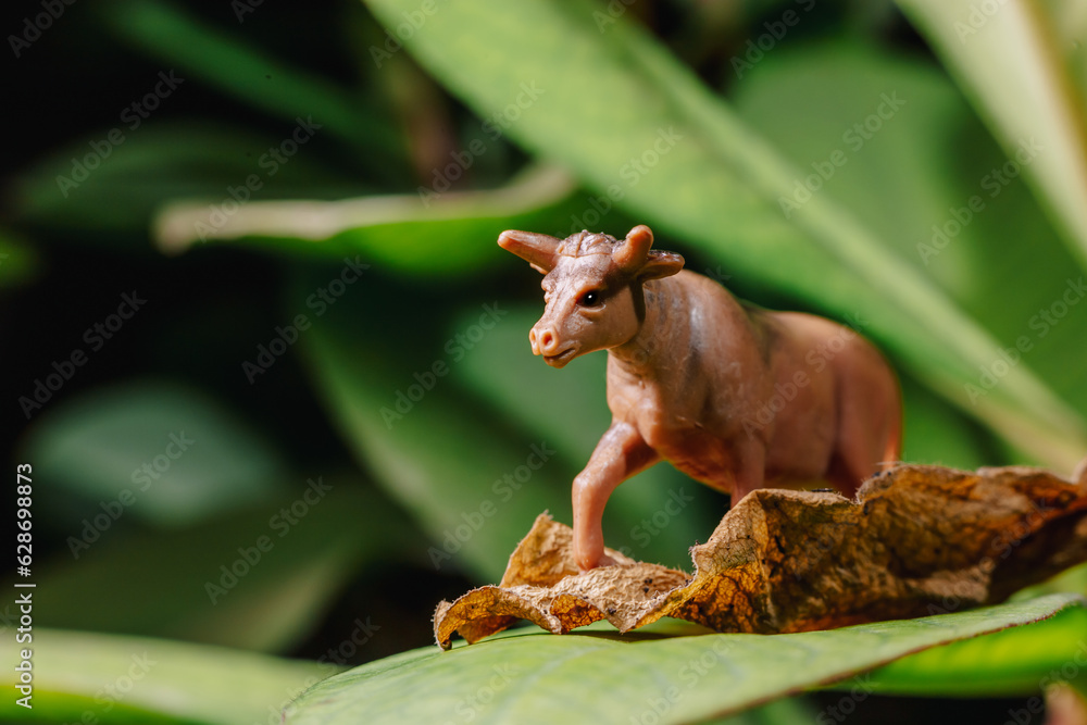 animales miniatura, toros , vacas, pollos, chivos sobre tierra y sobre hojas naturales, concepto de ganaderia , dia mundial de los animales, granjas. animales miniatura, toros , vacas, pollos, chivos sobre tierra y sobre hojas naturales, concepto de ganaderia , dia mundial de los animales, granjas.