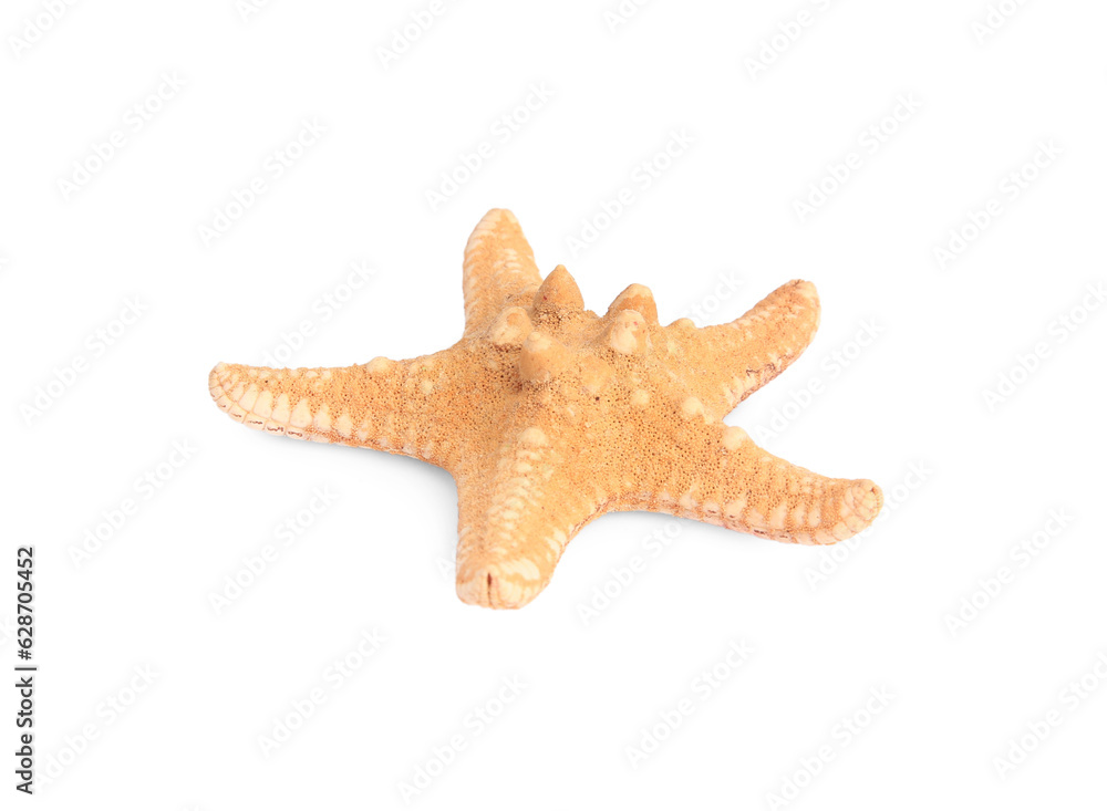 Beautiful sea star (starfish) isolated on white Beautiful sea star (starfish) isolated on white