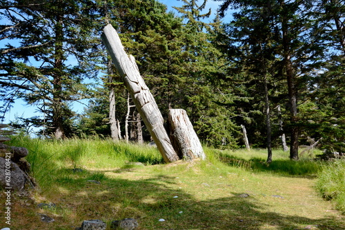 Historic Totem Poles at Skedans, Haida Gwaii, BC, Canada photo