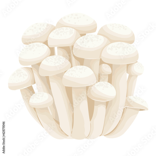 White Shimeji Mushroom White Buna Shimeji Mushroom Bunapi shimeji Hand Drawn Vector Illustration Isolated
