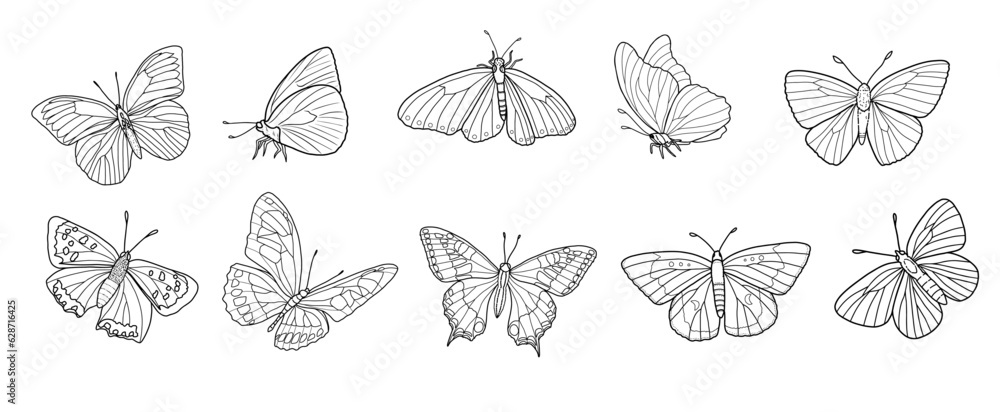 Line Drawing Butterfly Collection, Moth Doodle Set, Hand-drawn Butterfly & Moth Bundle Line Drawing Butterfly Collection, Moth Doodle Set, Hand-drawn Butterfly & Moth Bundle