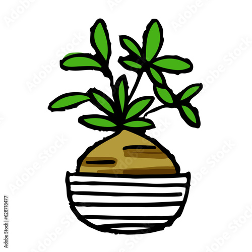 植木鉢に植えた多肉植物のイラスト　塊根植物コーデックス