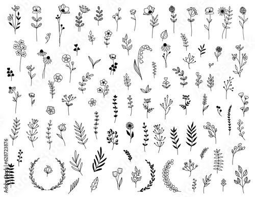 Minimal Greenery & Floral Elements, Botanical Doodle Set, Leaf & Flower Vector Clip Art, Hand-drawn, Wildflower Line Drawing