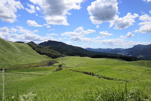 Scenery of a grass carpet on the Soni Plateau in Nara Prefecture, Japan