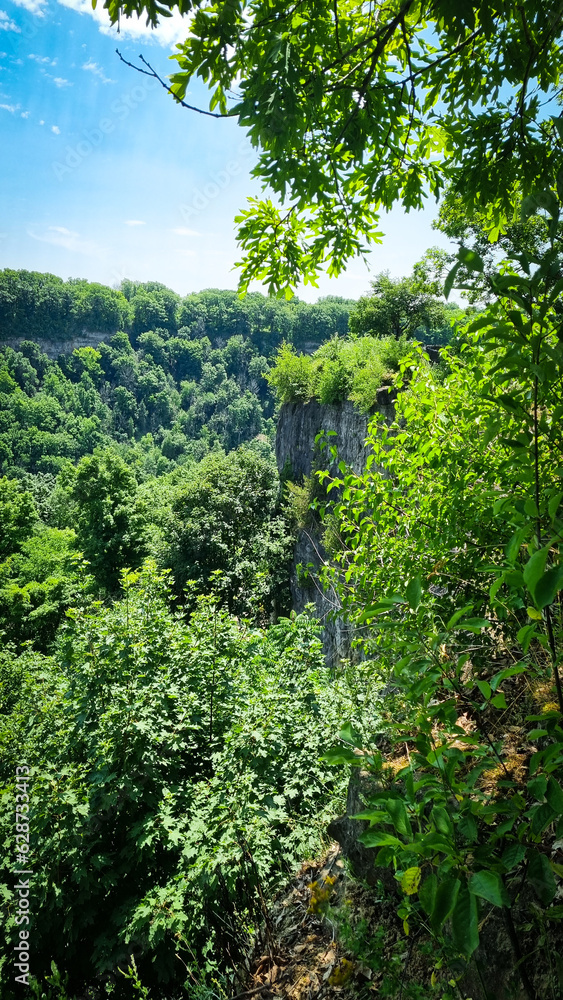 Fototapeta premium High cliff in green forest in summer