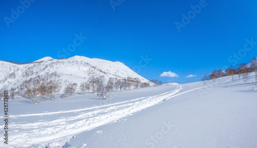 Ski tracks on a snow covered field (Niseko, Hokkaido, Japan)